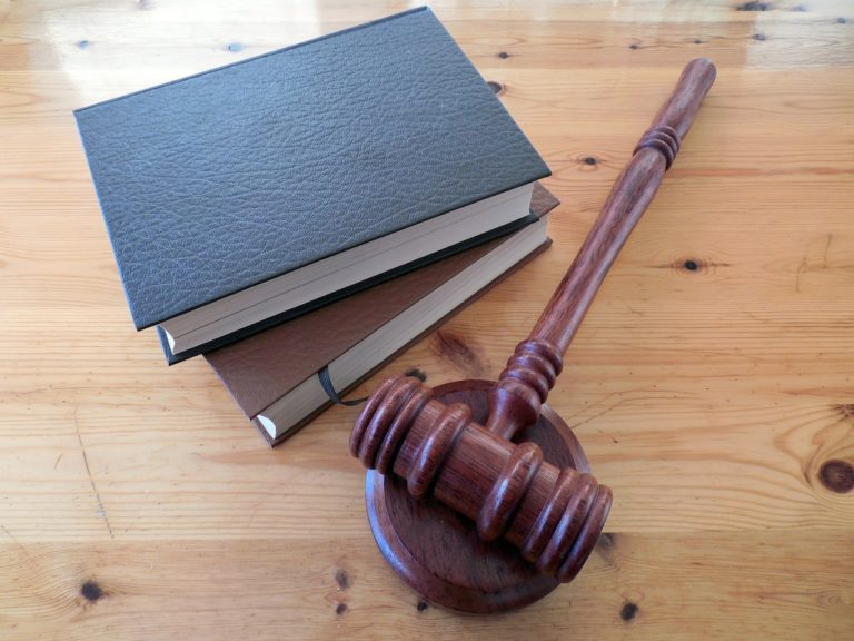 A Lawyer Robot Assists with Thousands of Cases