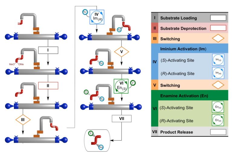 Molecular Robot in Operation